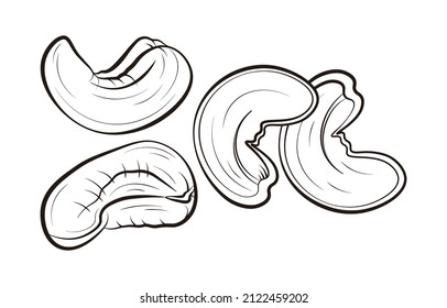 a set of cashew vector illustration