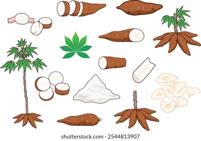 Set of Cassava Root or manioc plants with leaves, tuber, bunch of starch, chips, slice, tapioca flour, Vector illustration. Manihot esculenta collection Isolated on white