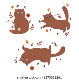 Set of cat in autumn. Charming brown kitten plays with leaves, fall season. Flora and fauna, mammal and pet lying with foliage. Cartoon flat vector illustrations isolated on white background