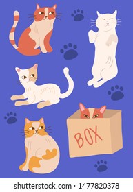 Set of cat characters. Two red cats, two white cats and a cat in a box.Cute animals.Purple background and paws