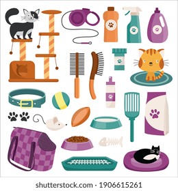 Set of cat characters and various pet care accessories, flat vector illustration isolated on white background. Icons of pets washing, grooming and transportation.