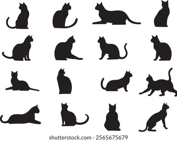 a set of a cat daily poses in silhouette