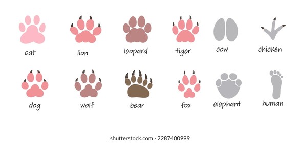 set of cat or dog footprints. Doodle elements. Paw print icon, diary and notebook stickers, different animal’s footprints dog, cow, chicken, wolf, fox, elephant, tiger, leopard, lion,
