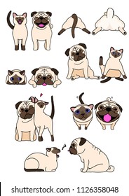 set of cat and dog pairs