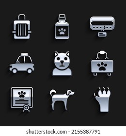 Set Cat, Dog, Paw print, Pet first aid kit, Certificate for dog or cat, car taxi, Collar with name tag and carry case icon. Vector