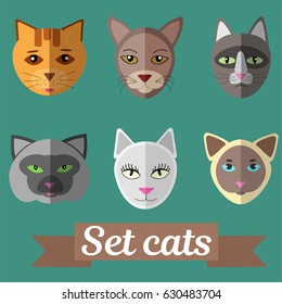 Set of cat faces