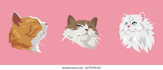 set of cat faces with different types, expressions, colors, shapes. vector illustration.
