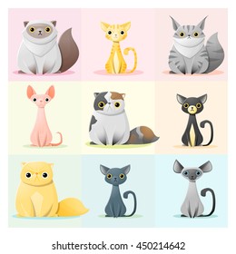 Set of cat family. vector illustration.