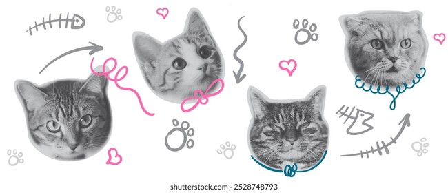 Conjunto de semitono de cabeza de gato   Ilustración vectorial de arte doodle