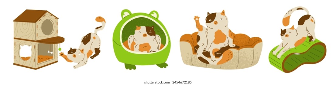 Set of cat and cat house situations. A comfortable and active life for a pet. Design for stores with pet products. Vector illustration isolated on transparent background.