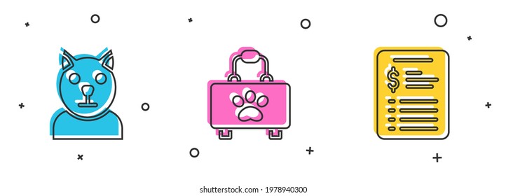 Set Cat, Pet first aid kit and Grooming salon price list icon. Vector