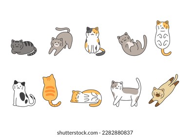 Set of cat poses flat design collection. Cute cats vector illustration.