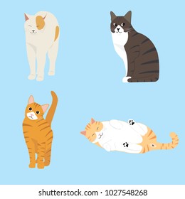 Set Of Cat Poses Vector Illustration. Set characters. Cute cat. 