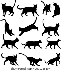 set of cat silhouette, isolated, vector