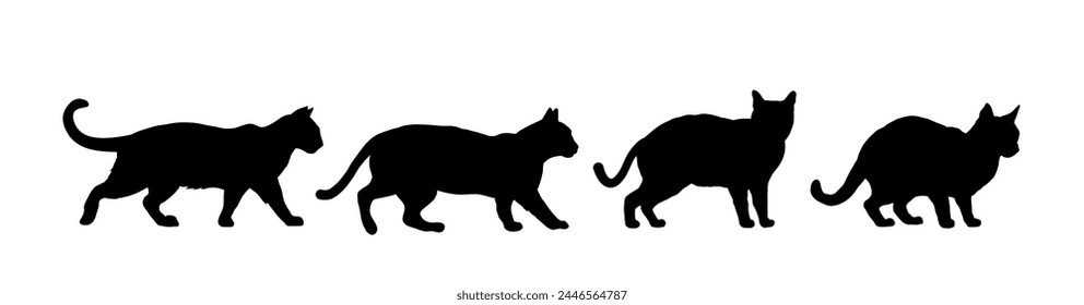 Set of cat silhouette - vector illustration	