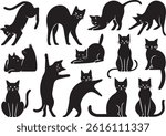 Set of Cat Silhouettes in Various Poses and Activities