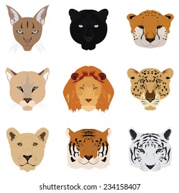 Set of Cat Tiger and Lion Vector and Icon