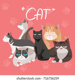 set cat vector illustration