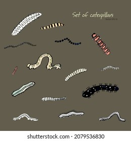 Set of caterpillars and worms. Vector sketches of insects. Colourful caterpillars. Ink drawings