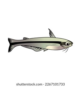 set of catfish icon, logo, isolated on white background. animal, fish, catfish, fishing, sea, seafood, river, fin, freshwater, black, white, silver, tropical, pet, aquarium, ocean, vector illustration