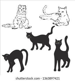 set of cats
