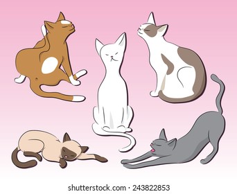 set of cats
