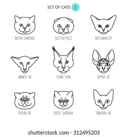 set of cats