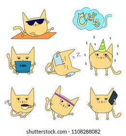Set with cats. Apathetic cat.
