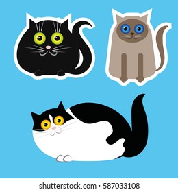 
Set of cats. Black fat cat with green eyes, siamese cute cat with blue eyes. Black and White fat cat with big yellow eyes. Stickers