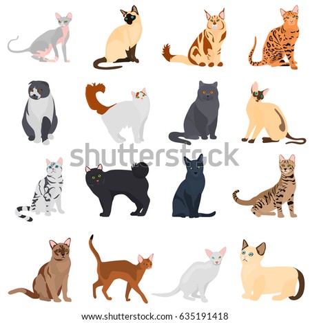 Set of cats breeds color flat icons for web and mobile design