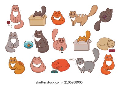 Set of cats. Cartoon cats collection. Funny kitten sleeping, playing, sitting on box, eating fish, relaxation. Different Adorable cats characters. Cute pets animal icons pack. Happy domestic cats. 
