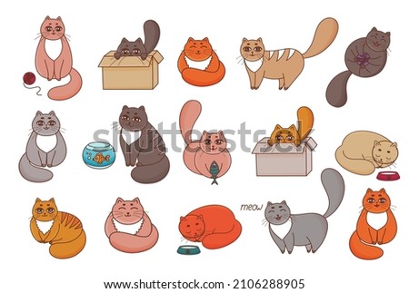 Set of cats. Cartoon cats collection. Funny kitten sleeping, playing, sitting on box, eating fish, relaxation. Different Adorable cats characters. Cute pets animal icons pack. Happy domestic cats. 
