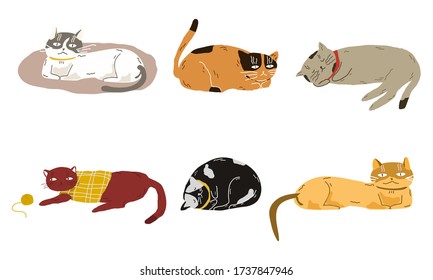 Set of cats in cartoon flat style. Cats sleep, play, hunt and rest. Cartoon characters of cat on a white background in modern style. Vector illustration.