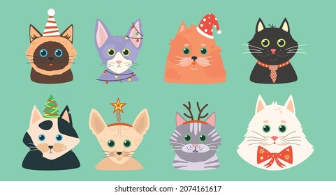 Set of cats with christmas accessories. Cute cartoon cats in hats. Vector pet's avatars. Thai cat, Maine Coon and other cat breeds.