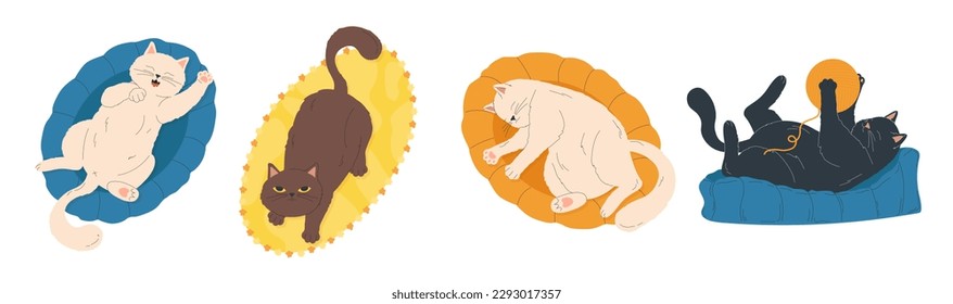 Conjunto de gatos. Colección de gatitos coloridos sobre almohadas. Confort y comodidad en el apartamento. Animales domésticos o mascotas descansando. Ilustraciones de caricaturas de vectores planos aisladas en fondo blanco