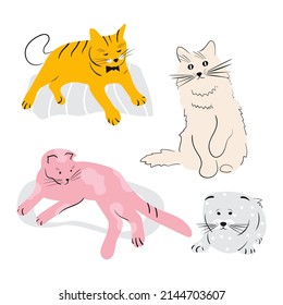 A set of cats. Color vector drawing on a white background. Doodle.