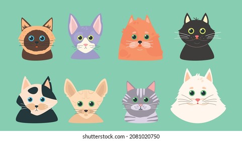 Set of cats. Cute cartoon cats. Vector pet's avatars. Thai cat, Maine Coon and other cat breeds.