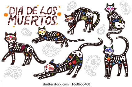 Conjunto de gatos del día de los muertos aislados sobre fondo blanco con letras en el día español de los muertos. Gráficos vectoriales.