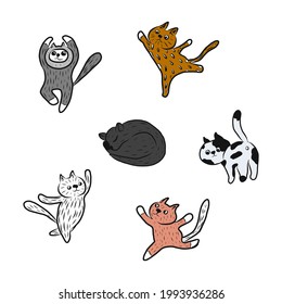a set of cats of different breeds and colors. Oriental cat, Burmese, Siberian breed, Abyssinian. Vector illustration isolated on a white background. For stickers, tableware designs, T-shirts, baby