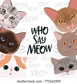 Set of cats of different breeds. Editable vector illustration