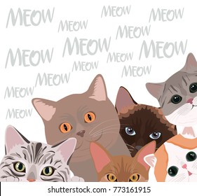 Set of cats of different breeds. Editable vector illustration