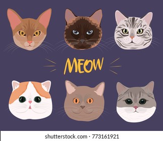 Set of cats of different breeds. Editable vector illustration