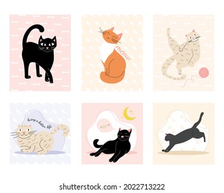 Mit Katzen verschiedener Rassen auf einem anderen Hintergrund. Vektorgrafik. Tiere, Tapeten, Druck.