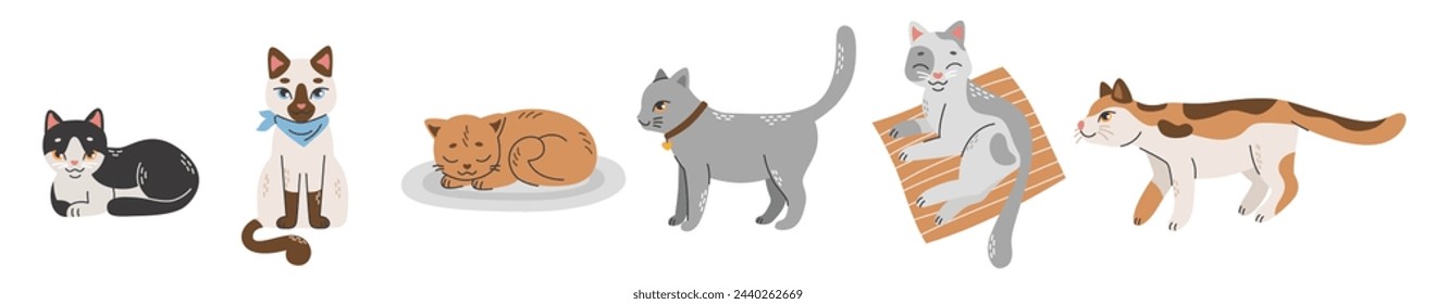 Set of cats of different breeds in different poses. The cat sleeps, lies, stands, walks. Siamese, British, tricolor, gray. Vector flat illustration on a white background isolated