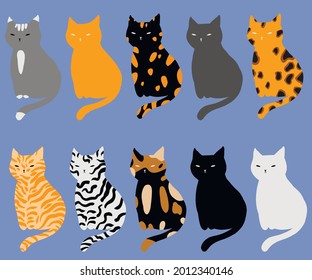A set of cats with different colors