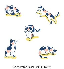 Set of cats in different poses