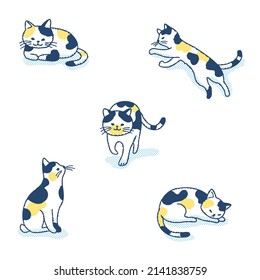 Set of cats in different poses