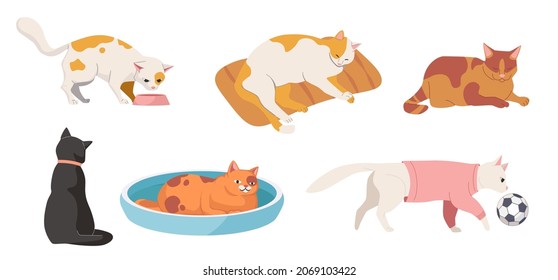 Set of Cats in Different Poses. Cute Lazy Pet Sleep, Sitting, Playing with Ball, Wear Clothes, Eating and Walk. Funny Kittens Lifestyle Isolated on White Background. Cartoon Vector Illustration