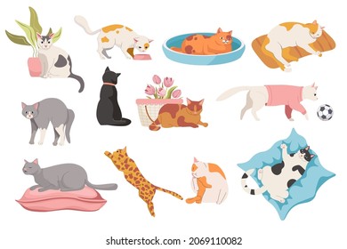 Set of Cats in Different Poses. Cute Pet Sleep, Sit at Flower Pot, Funny Kittens Play with Ball, Walk, Jump and Relax on Bed. Animal Lifestyle Isolated on White Background. Cartoon Vector Illustration