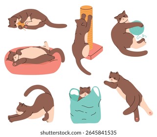 Set of cats in different poses. Domestic cats play, sleep, rest. Flat vector illustration.